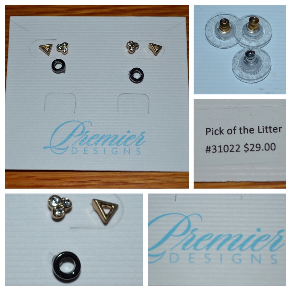 Premier Designs Pick of the Litter #31022 earrings